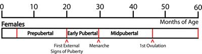 Role of <mark class="highlighted">Kisspeptin</mark> and Neurokinin B in Puberty in Female Non-Human Primates